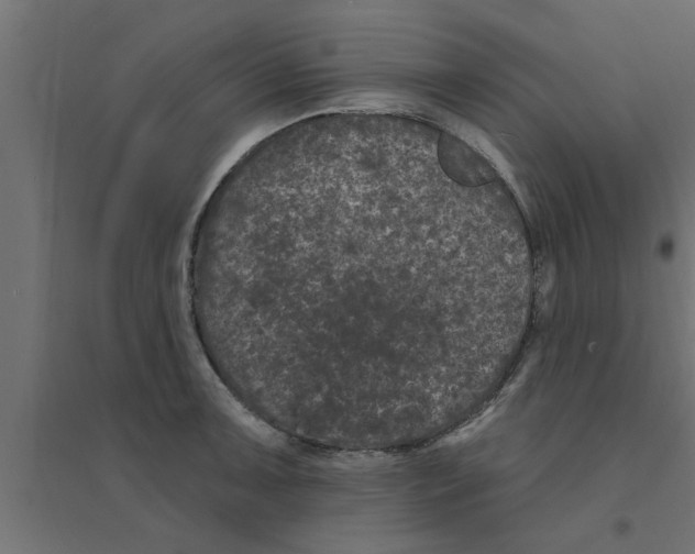 X0000094231091200711241739