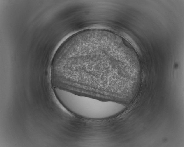 X0000094231092200711241739