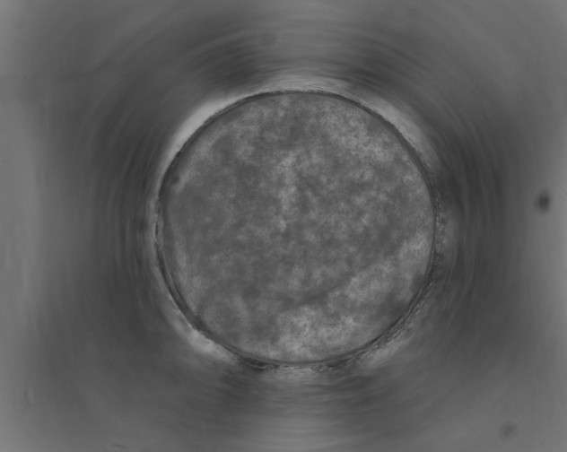 X0000094231094200711241739