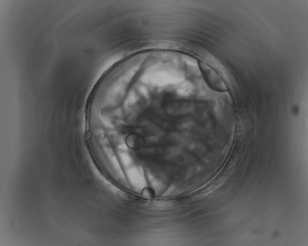 X0000094231095200711241739