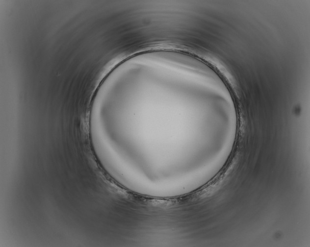 X0000094231097200711241739