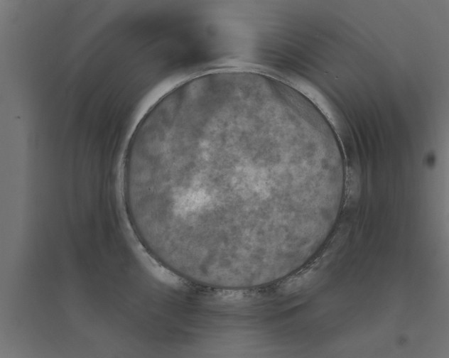 X0000094231098200711241739