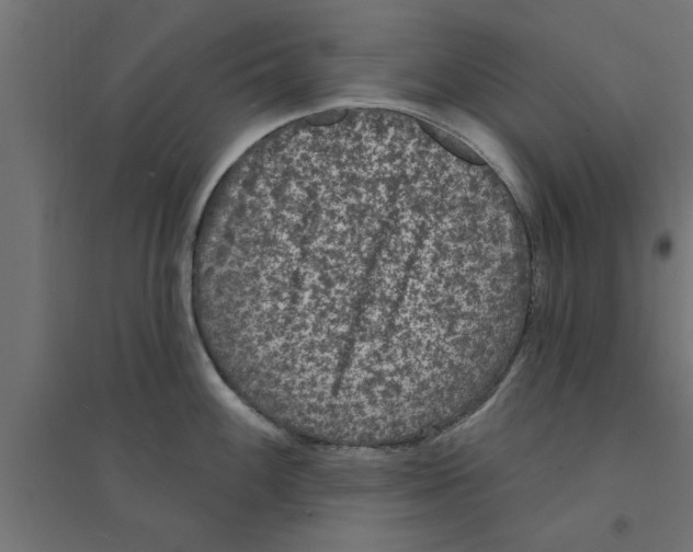 X0000094231100200711241739
