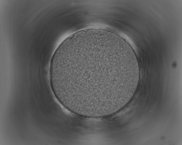 X0000094231103200711241739