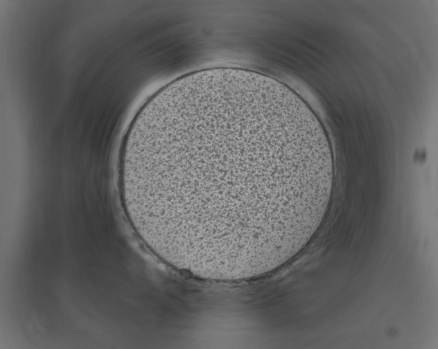 X0000094231104200711241739