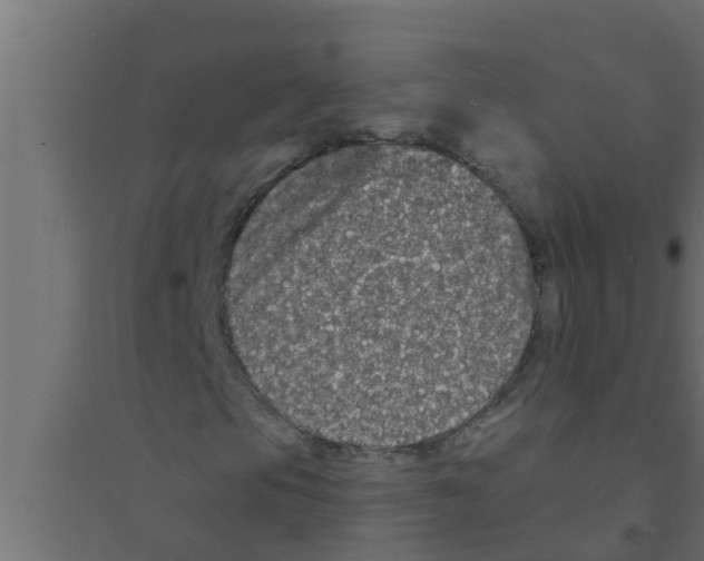 X0000094231105200711241738