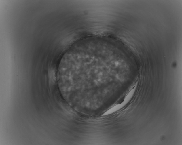 X0000094231106200711241738