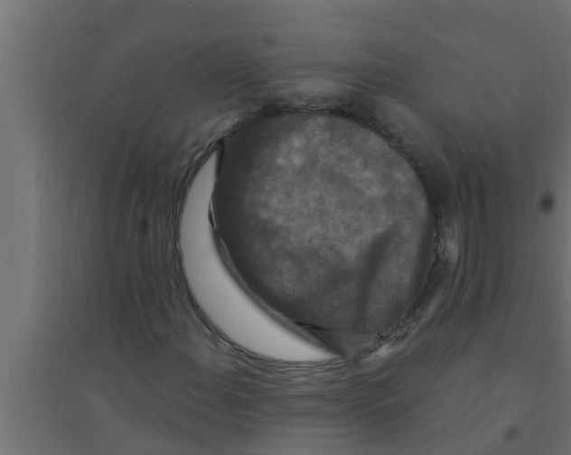 X0000094231108200711241738