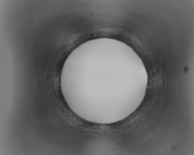 X0000094231109200711241738