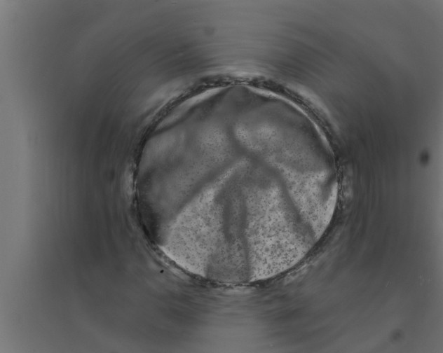 X0000094231110200711241738
