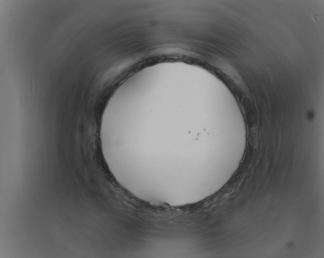 X0000094231111200711241738