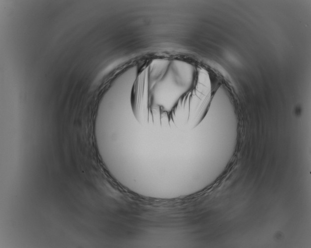 X0000094231112200711241738