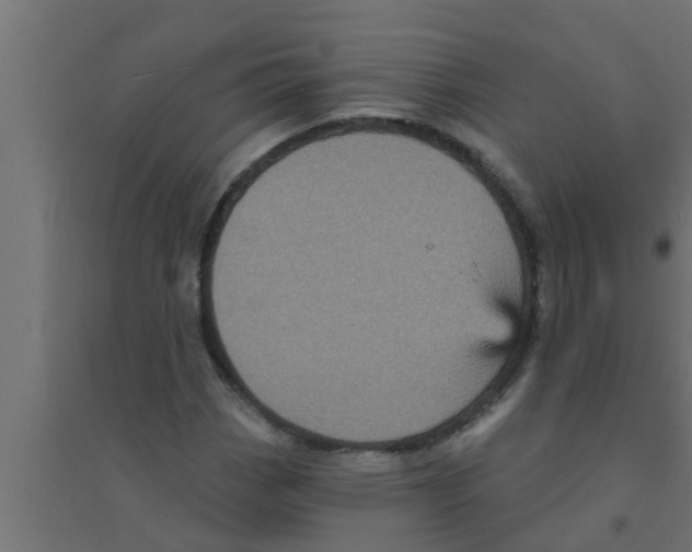 X0000094231113200711241738