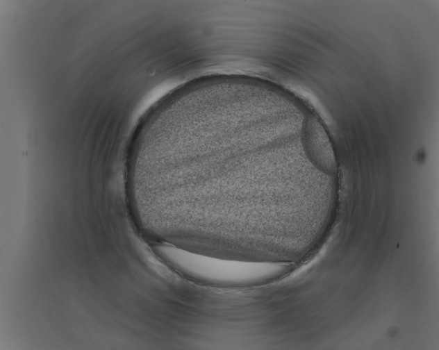 X0000094231114200711241738