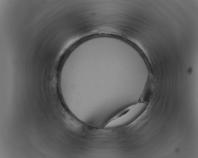 X0000094231115200711241738