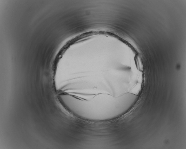 X0000094231116200711241738