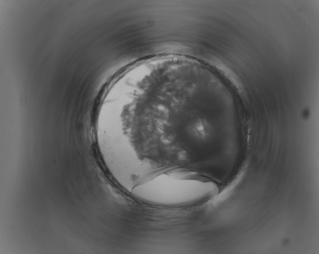 X0000094231117200711241738