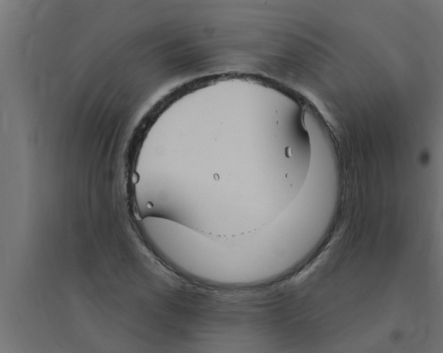 X0000094231118200711241738