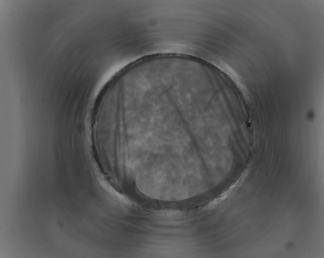 X0000094231120200711241738