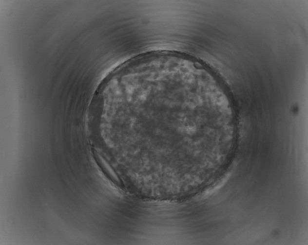 X0000094231121200711241738