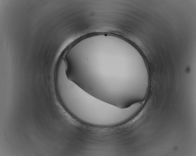 X0000094231122200711241738