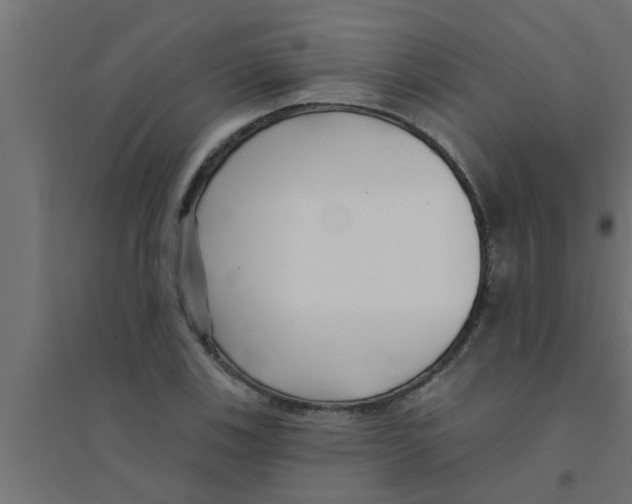 X0000094231123200711241738