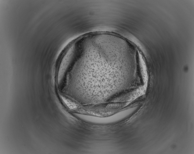 X0000094231124200711241738