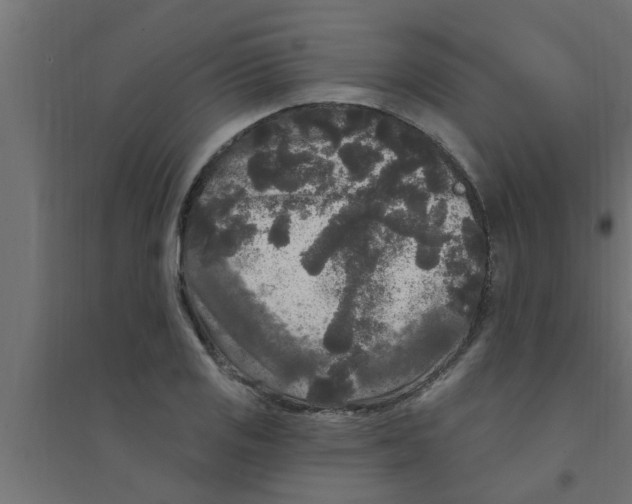 X0000094231125200711241738