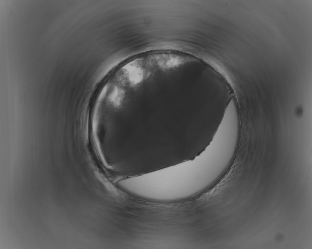 X0000094231127200711241739