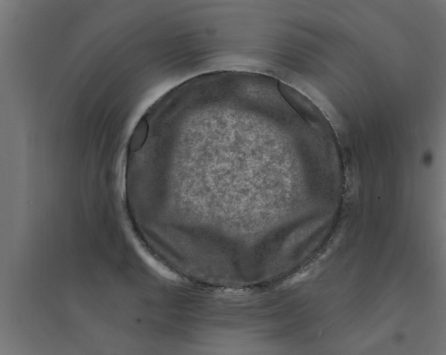 X0000094231128200711241739