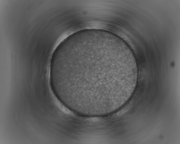 X0000094231130200711241739