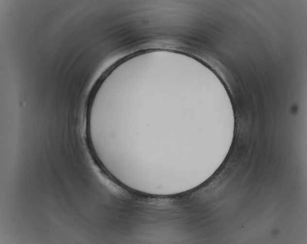 X0000094231131200711241739