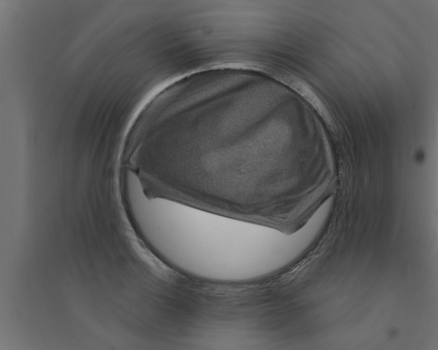 X0000094231132200711241739