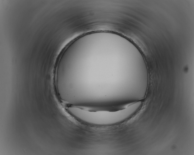 X0000094231134200711241739