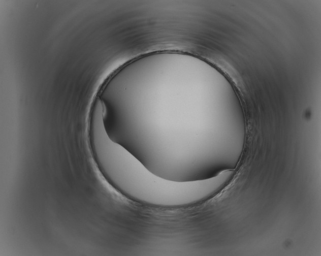 X0000094231135200711241739