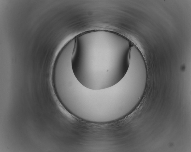X0000094231136200711241739