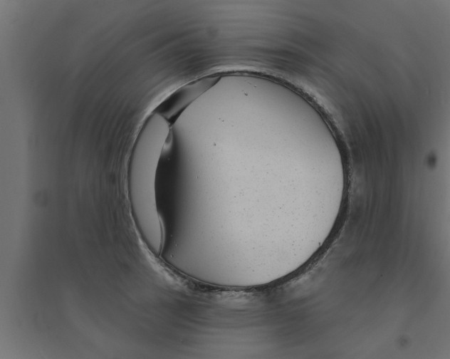 X0000094231137200711241739