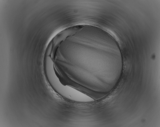 X0000094231138200711241739