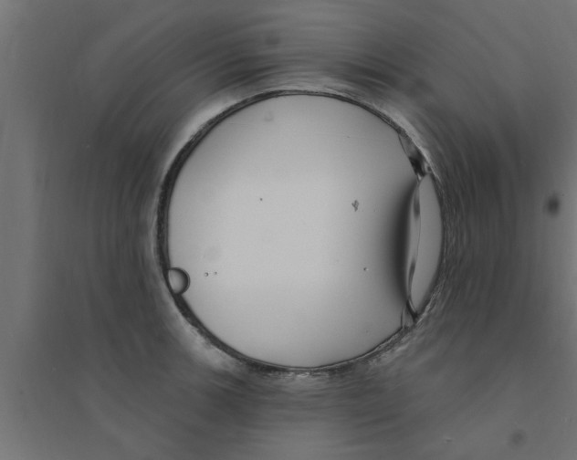 X0000094231139200711241739