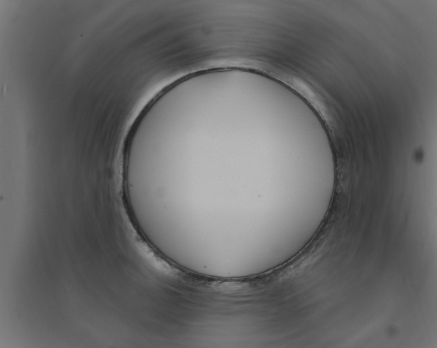 X0000094231140200711241739
