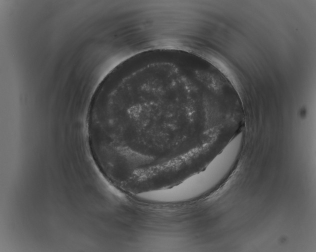 X0000094231141200711241739