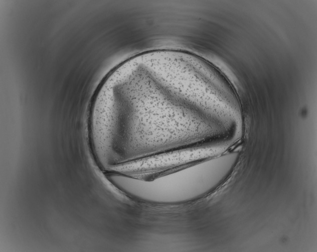 X0000094231142200711241739