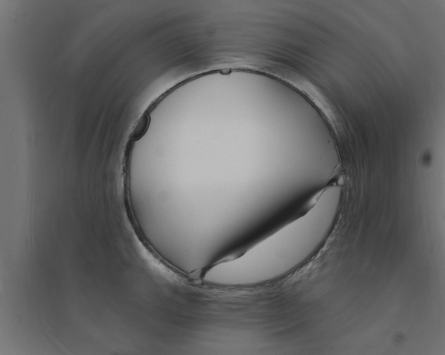X0000094231143200711241739