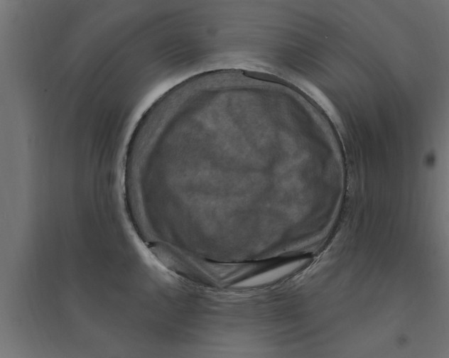 X0000094231144200711241739