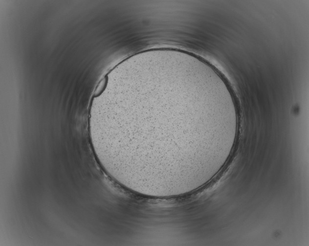 X0000094231145200711241739