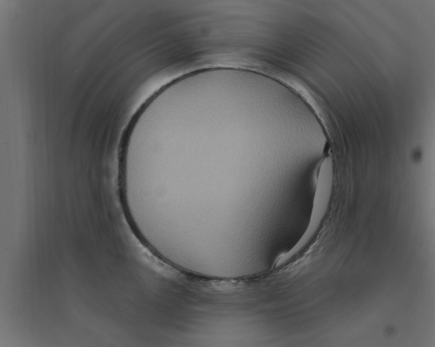 X0000094231147200711241739