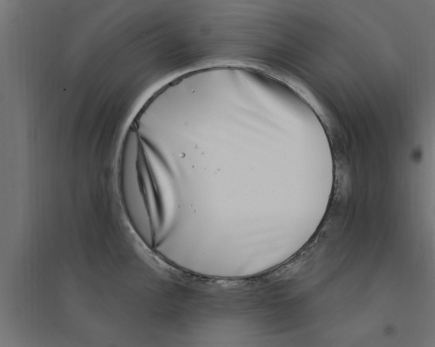 X0000094231148200711241739