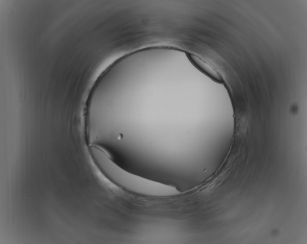 X0000094231151200711241739