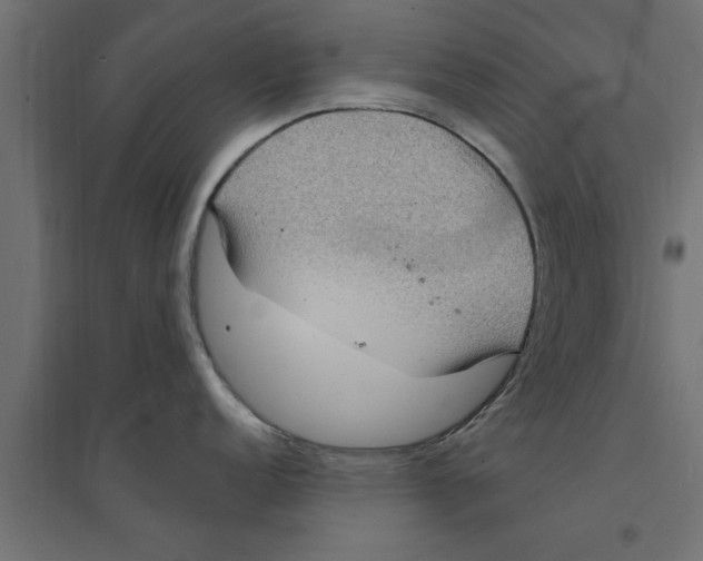 X0000094231152200711241739