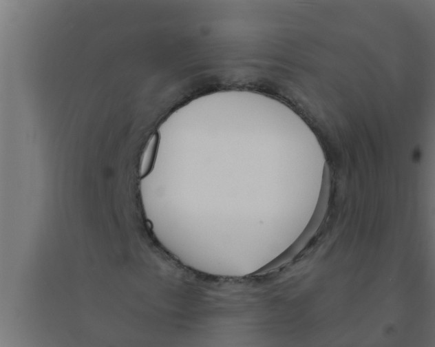 X0000094231153200711241738
